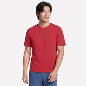 Cadence Tee